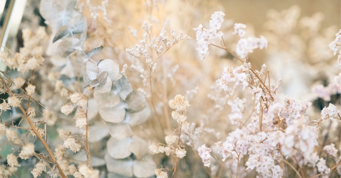 Psychoneuroimmunology: Mind-Body Connection