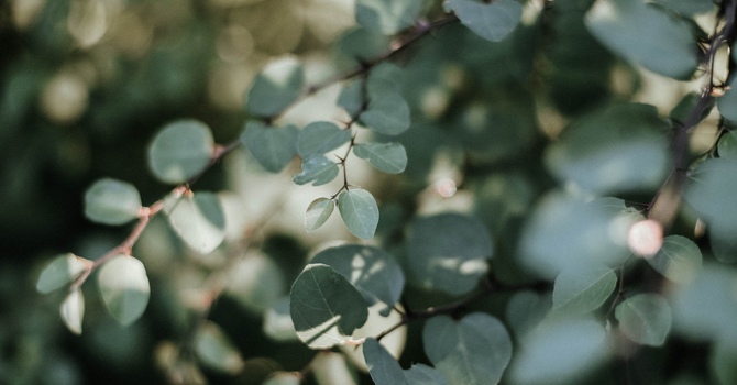 Registered Massage Therapy - with Medical Acupunture